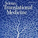 大批生产调节性T细胞可治疗小鼠自身免疫性疾病｜《科学·转化医学》