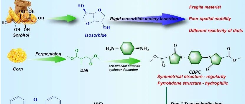 从单体设计到性能突破：新型生物基三环二元酸酯实现聚酯耐热与亲水的协同优化