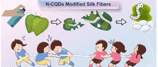 浙理工《Biomacromolecules》：向蚕喂养氮掺杂碳量子点桑叶，产出高强度蚕丝，用于生物医学材料