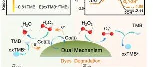 Inorg. Chem. | 双重机制共存的Co3O4纳米粒过氧化物酶催化反应机理研究：非自由基过程与基于超氧阴离子的自由基过程