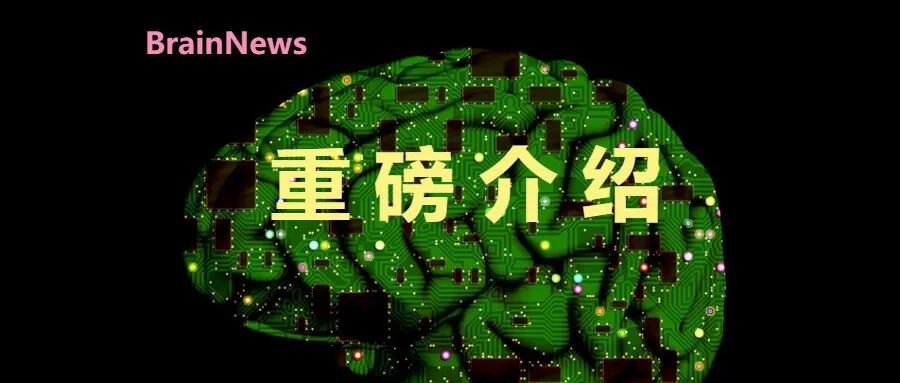 意识是什么？罗伯特·普伦特纳博士：我们所见与所是