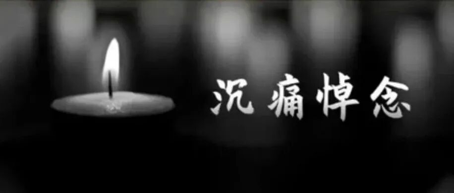 讣告 | 沉痛悼念胡金莲教授