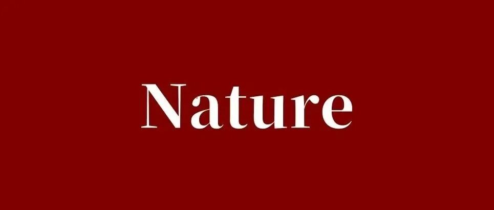 后生可畏！年轻博士拿下材料多篇一作Nature!“杀出重围”