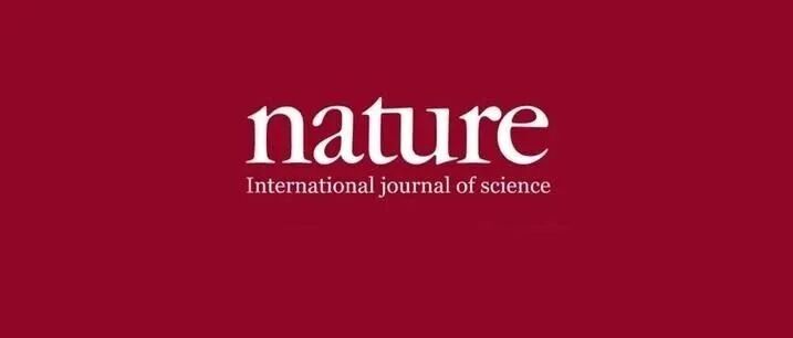 Nature重磅！新型催化剂突破传统极限！成果炸裂到“刷屏科研圈”！