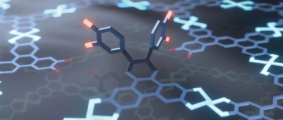天津大学丛雪丰团队：硅基自由基的生成
