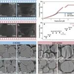 中国科学院物理所黄学杰、松山湖材料实验室贲留斌ACS Energy Letters：耐压型多晶富镍层状正极用于高性能全固态锂电池