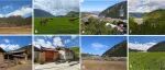 植物所王宇飞研究团队在中国西南横断山区表土花粉组合揭示环境变化方面取得新进展