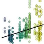 Nature Communications | 北京大学朱彪教授课题组揭示细根性状种内变异的纬度格局