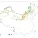 植物所刘玲莉研究组《Science Bulletin》最新成果！揭示中国温带草地表层土壤固碳潜力及其调控机制