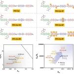 天工大孟建强/天理工匙文雄 Macromolecules：刚性扭曲结构与含氟结构协同实现两性离子基聚芳醚砜的超高水/盐选择性