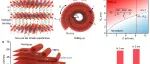 北京航空航天大学杨树斌团队，二维材料-新型非范德华超晶格 | Nature