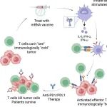Nature：华人学者首次证实，新冠mRNA疫苗增强癌症免疫疗法，显著延长癌症患者生存期