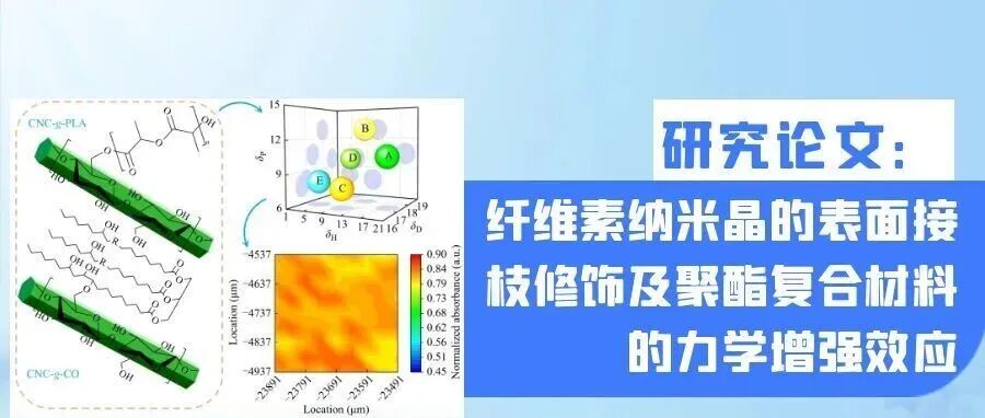 研究论文：纤维素纳米晶的表面接枝修饰及聚酯复合材料的力学增强效应