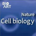 【科技前沿】Nat Cell Biol | 孙启明/刘伟团队揭示SCAP-FAM134B复合物调控内质网自噬与STING天然免疫