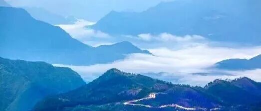 徐良高｜武王墩与河泊所：考古发现的史学解读