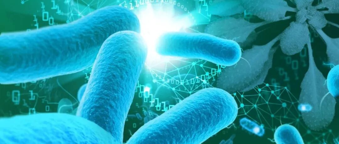 南京农业大学沈其荣院士团队在Nature Communications发表研究成果，突破三代宏基因组分箱的共性关键技术