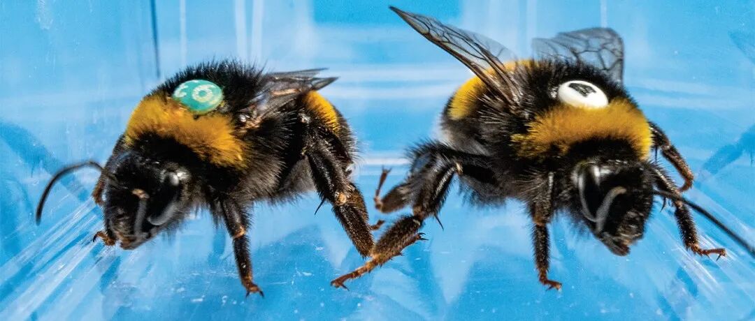 赞！南方医科大学这项研究登上Science封面