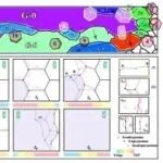 四川大学《Acta Materialia》：一种创新热处理技术！TiAl合金热处理研究重要进展&#8203;