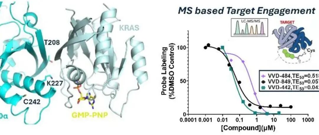 Science | 靶向PI3Kα RAS的共价抑制剂探针实现肿瘤杀伤