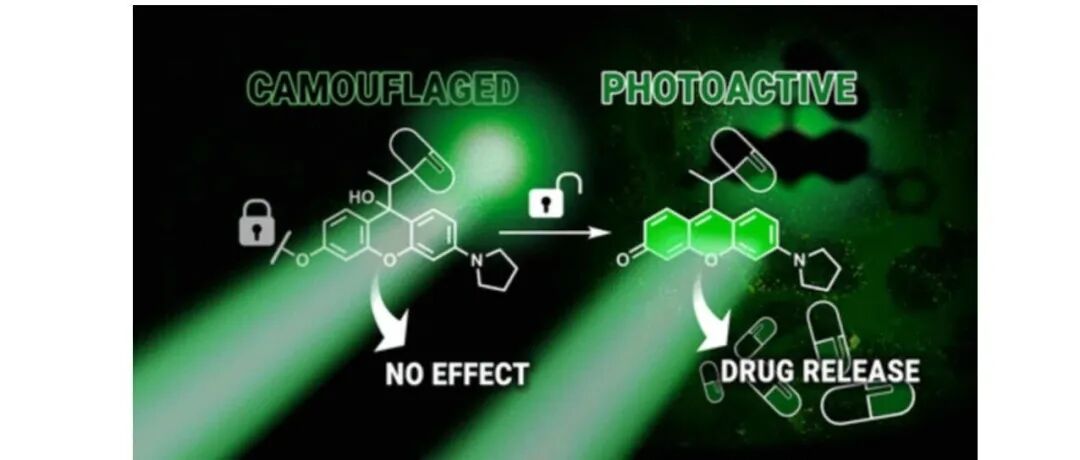 文献分享 |JACS:双重伪装：用于生物正交控制条件激活的伪装光笼