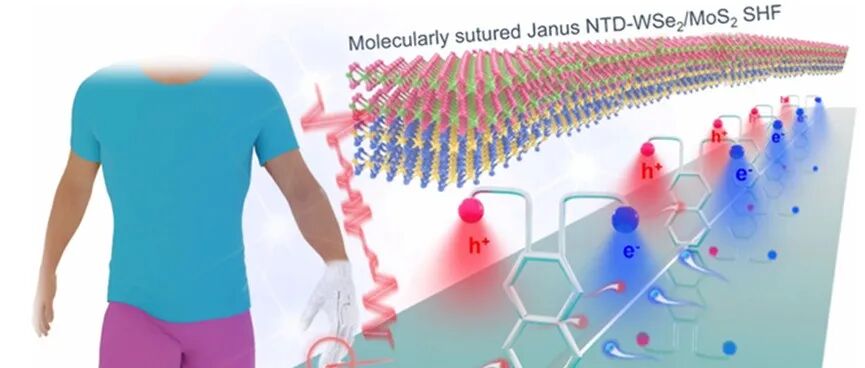 《ACS Nano》：分子缝合构建高强度、超高响应性 Janus 二维半导体纤维及其自供电可穿戴光电子应用