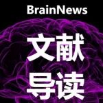 NB：胡春/翁旭初团队报道中缝背核至基底外侧杏仁核的环路投射双向调节小鼠的社交能力