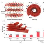 北京航空航天大学最新Nature
