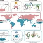 Nature Communications | 气候变化将导致全球地下生态系统多功能性降低