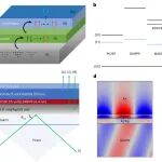 研究前沿：等离激元增强上转换 | Nature Photonics