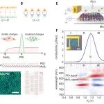 研究透视：室温离子耦合双层晶体管-分子晶体/二维半导体 | Science