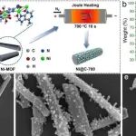苏州大学ACS Nano：10秒焦耳热合成磁性 Ni@C催化剂实现高效光增强铀回收