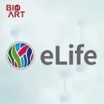 eLife&#160;|&#160;张新军实验室破解Wnt受体调控之谜：揭示配体触发FZD内吞降解的全新“自我刹车”机制