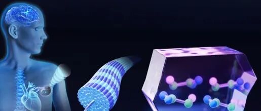 港科大杨征保团队《Chem. Rev.》：从自然到医学 - 压电生物材料构筑智能电子未来