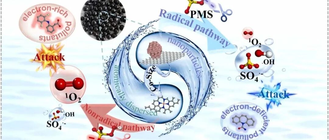文献速递|西安建筑科技大学ACB:通过精确调控钴活性位点尺寸实现活性氧通路切换：基于双金属MOFs制备毫米级碳珠实现药物污染物