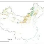 Science Bulletin | 刘玲莉研究组揭示中国温带草地表层土壤固碳潜力及其调控机制