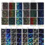 研究前沿：石墨/硅复合负极材料-锂电 | Nature Nanotechnology