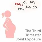 厦门大学公共卫生学院张洁团队JHM：妊娠期空气污染物复合暴露、胎盘代谢物和宫内骨骼发育的关联