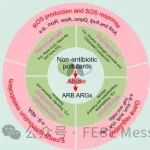 杭州师范大学范念斯等FESE：非抗生素类污染物驱动抗生素抗性基因传播的作用与分子机制