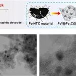 中国科学院大学Small：3000K高温超快合成双核壳Fe&#8304;@Fe&#8323;C@石墨，实现高效类芬顿催化