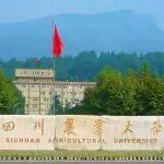 四川农业大学本科生以第一作者身份在一区Top期刊（IF=12.4）上发表研究论文