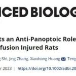 Advanced Biology | 褪黑素，不止调节睡眠：揭示其在脊髓缺血损伤中的“抗泛凋亡”保护机制