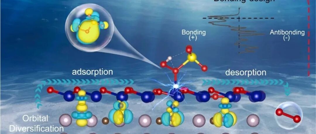 文献速递|华侨大学ACB:基于β-Mo&#8322;C基底负载的六方碳化物CoO簇实现键合设计轨道多样化，以增强PMS活化