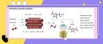 【ACS Catal.】华南理工大学陈光需课题组：电热串联催化实现HMF高效增值