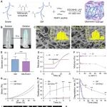 浙大四院/浙大国际健康医学研究院魏威、福州大学张进：多通道3D打印活性支架联合siRNA递送促进脊髓损伤后神经功能恢复