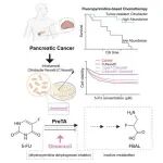 Cell Reports | 方罗/潘利斌/马列峰发现驱动胰腺癌化学耐药性的调控新机制