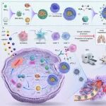 浙江大学肖冰等团队合作最新Adv Sci