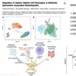 Gastroenterology & Journal of Hepotology丨期刊学习