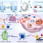 Biomaterials：镓基液态金属纳米颗粒可压电催化激活cGAS-STING通路以增强抗肿瘤免疫治疗