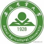 北京林业大学“杰青”博士、入职安徽农业大学、第一作者在顶级期刊（IF=19.4）发表研究成果，实现纤维素“余晖变色”