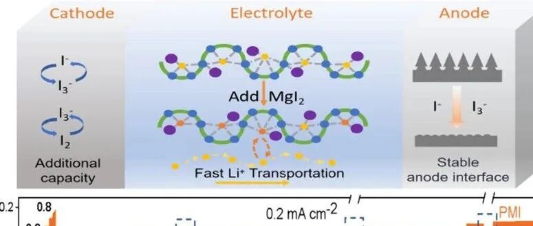 清华大学深圳国际研究生院李宝华团队ACS Nano：双面 MgI₂界面工程实现稳定高容量PEO基锂电池
